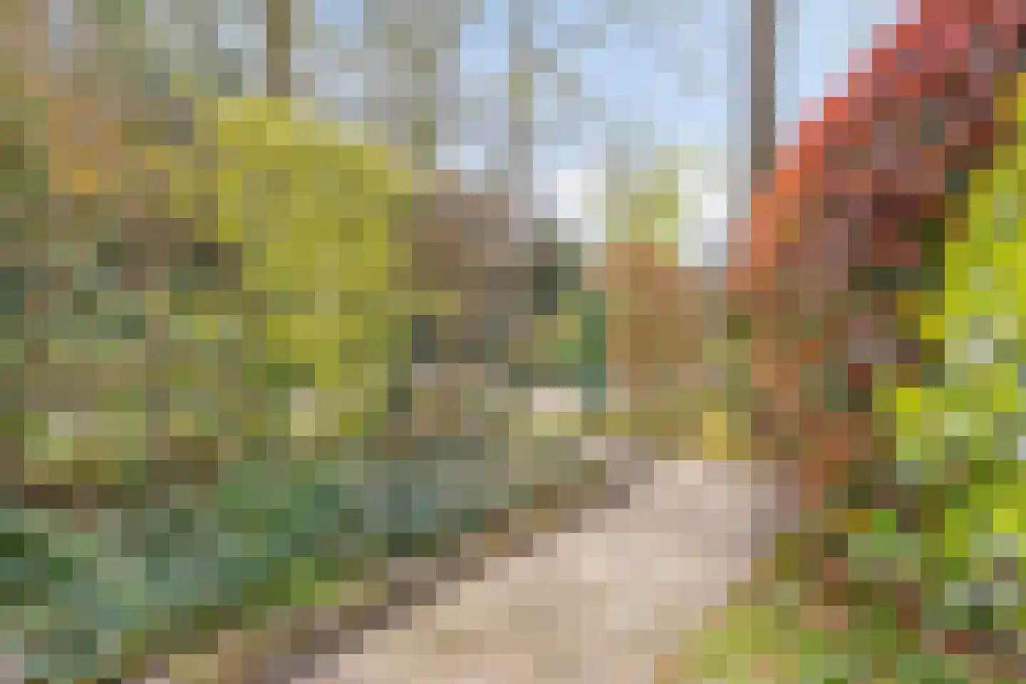 Mielweg 46 Lunteren thumbnail 57