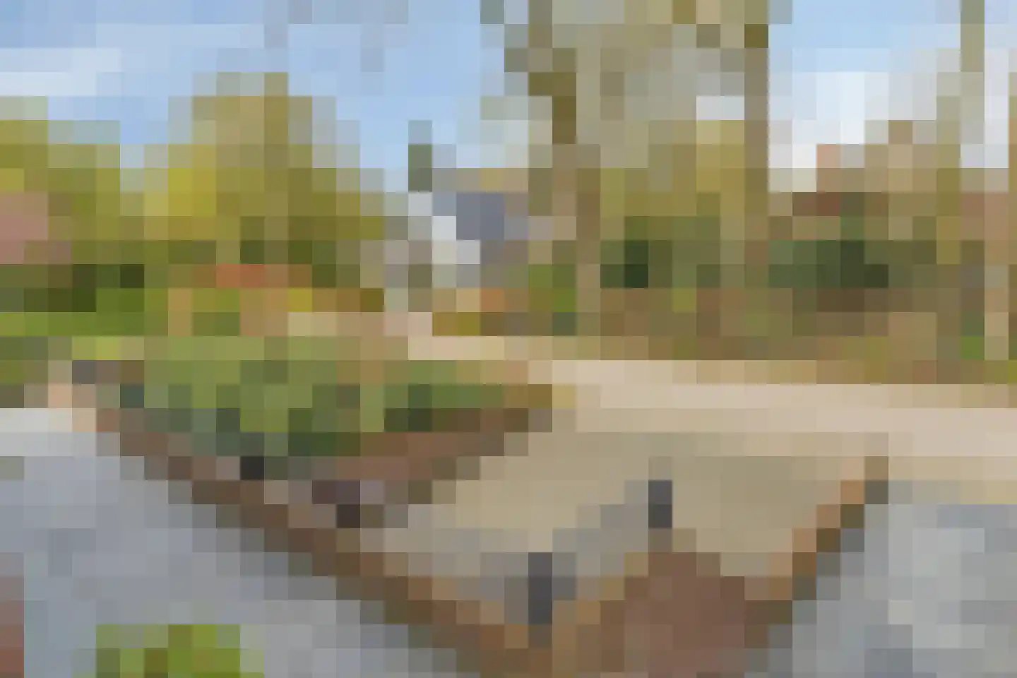 Mielweg 46 Lunteren thumbnail 63