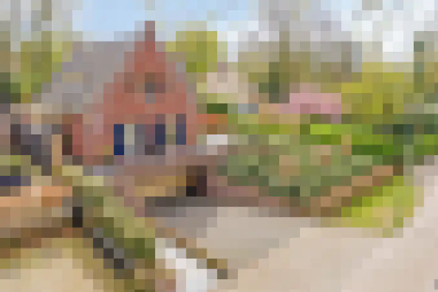 Mielweg 46 Lunteren thumbnail 65
