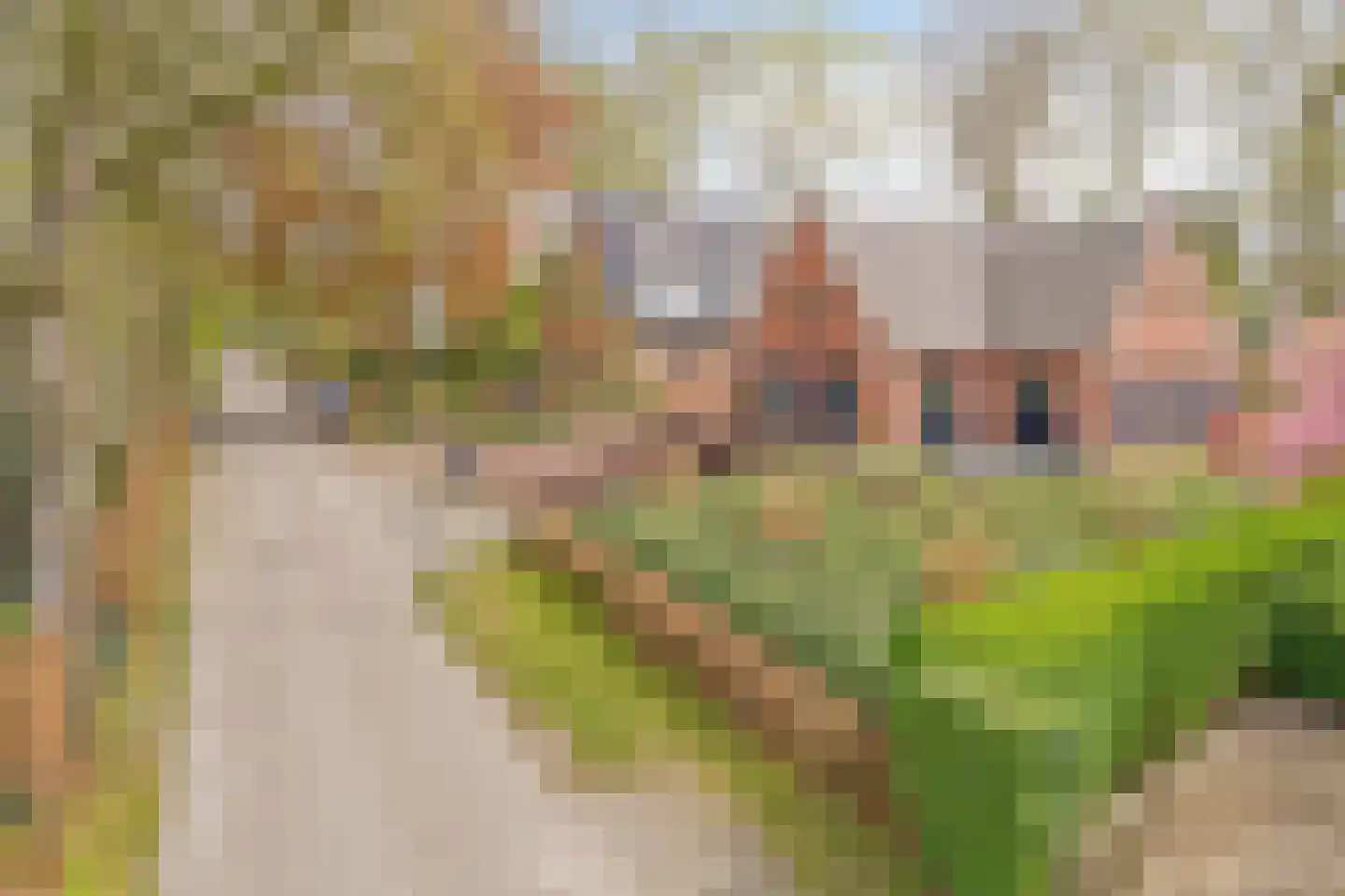 Mielweg 46 Lunteren thumbnail 67