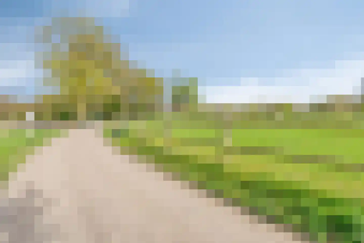 Mielweg 46 Lunteren thumbnail 69