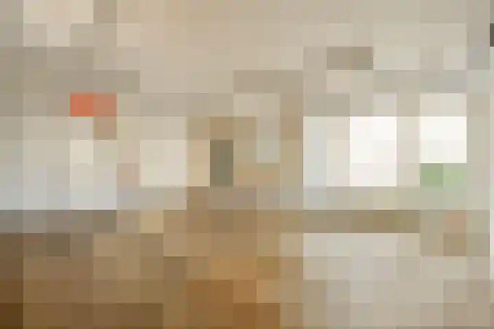 Mien Labbertonstraat 9 Amsterdam thumbnail 5