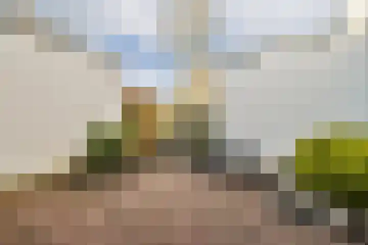 Mien Labbertonstraat 9 Amsterdam thumbnail 9