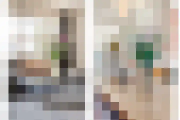 Mien Ruyslaan 20 Dedemsvaart thumbnail 11