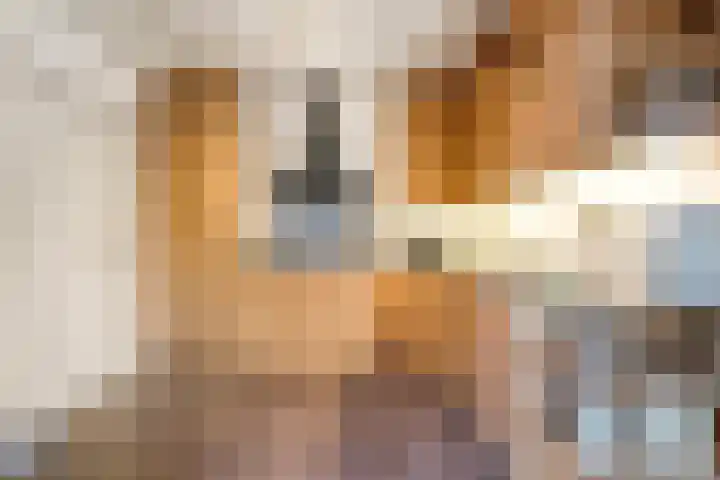 Mien Ruyslaan 20 Dedemsvaart thumbnail 14
