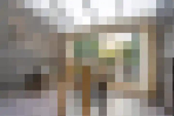Mien Ruyslaan 20 Dedemsvaart thumbnail 16