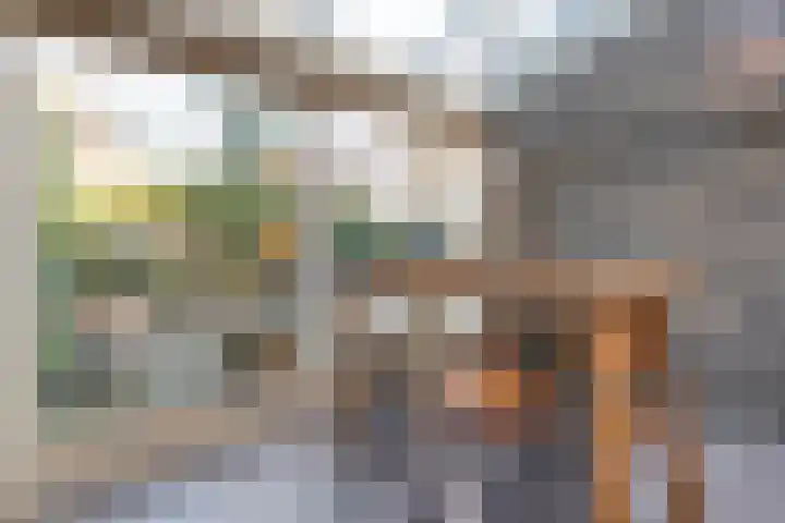 Mien Ruyslaan 20 Dedemsvaart thumbnail 17