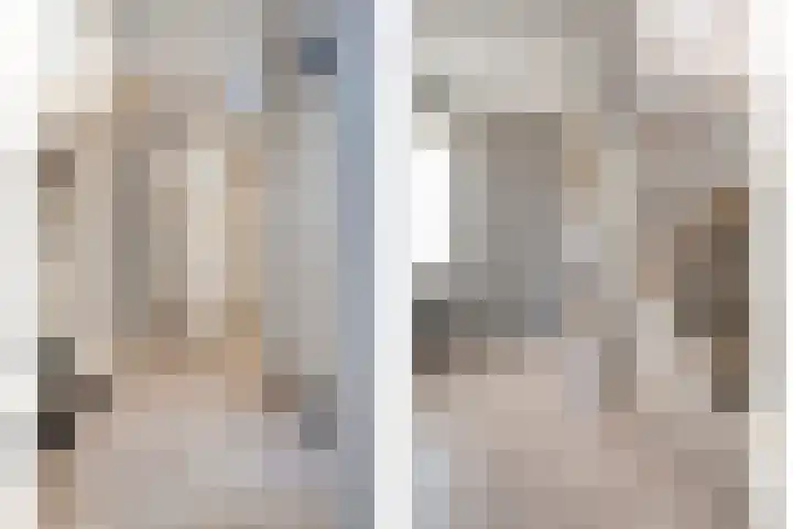 Mien Ruyslaan 20 Dedemsvaart thumbnail 19