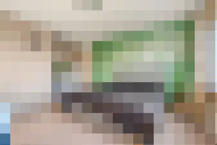 Mien Ruyslaan 20 Dedemsvaart thumbnail 21