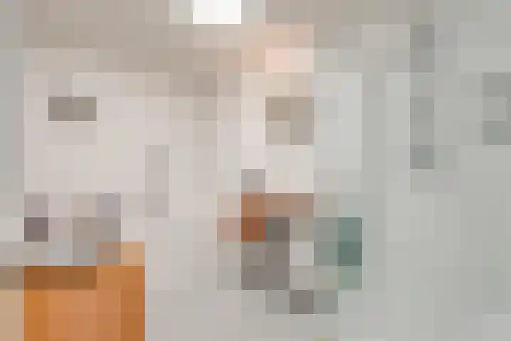 Mien Ruyslaan 20 Dedemsvaart thumbnail 22