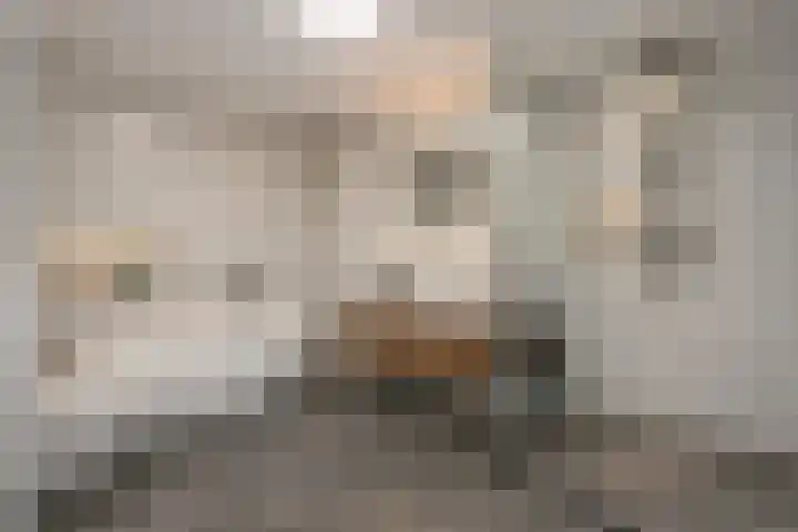 Mien Ruyslaan 20 Dedemsvaart thumbnail 23