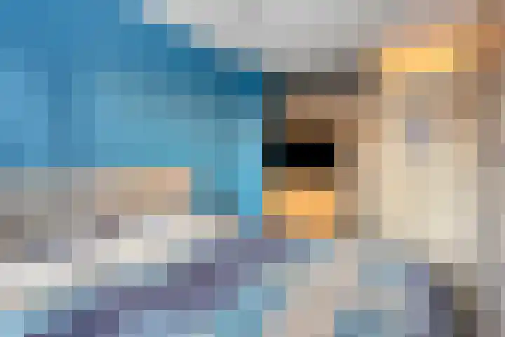 Mien Ruyslaan 20 Dedemsvaart thumbnail 26