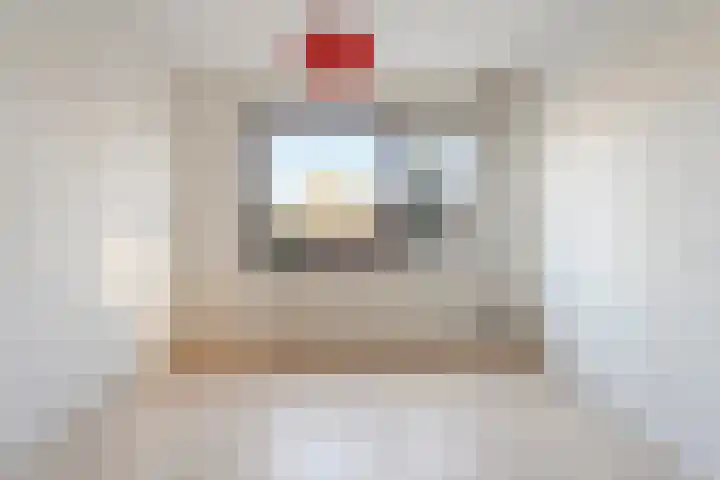 Mien Ruyslaan 20 Dedemsvaart thumbnail 27