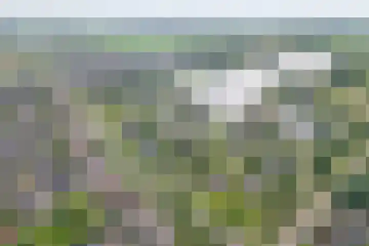 Mien Ruyslaan 20 Dedemsvaart foto 3