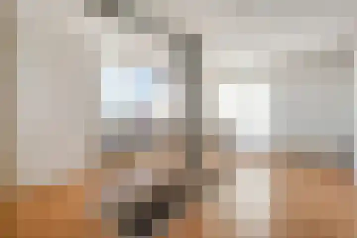 Mien Ruyslaan 20 Dedemsvaart thumbnail 30