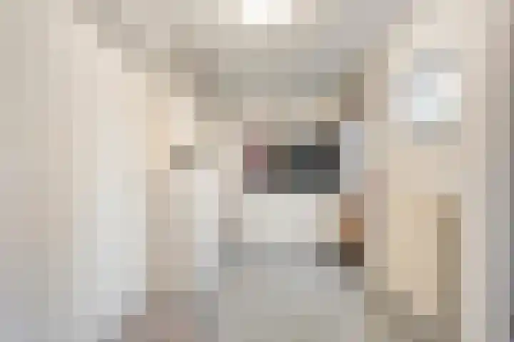 Mien Ruyslaan 20 Dedemsvaart thumbnail 34