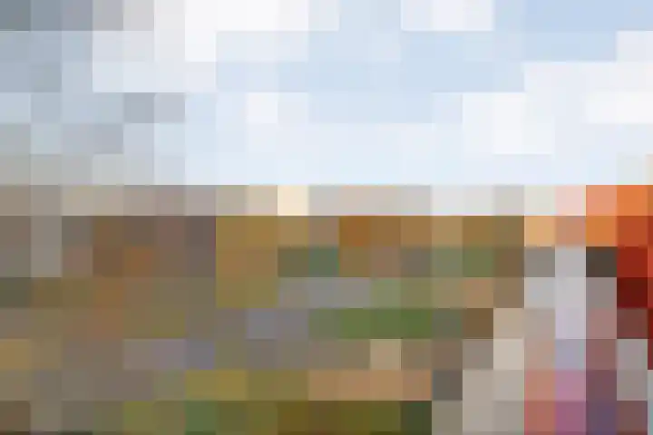Mien Ruyslaan 20 Dedemsvaart thumbnail 38
