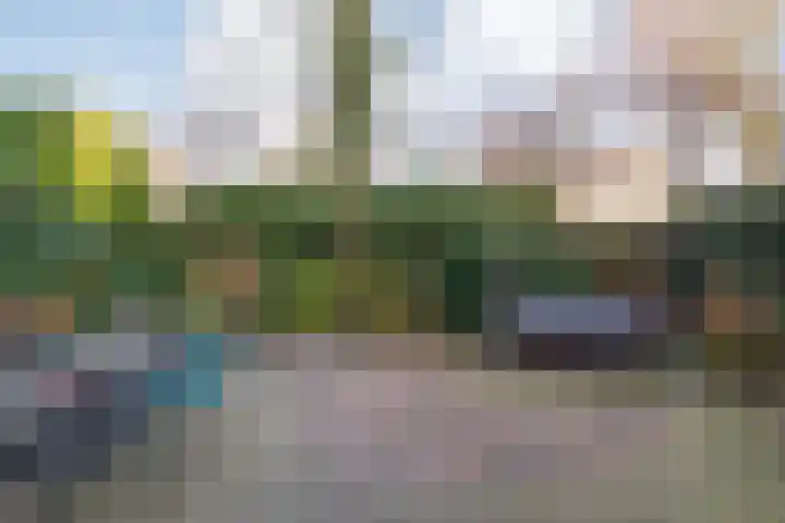 Mien Ruyslaan 20 Dedemsvaart thumbnail 39
