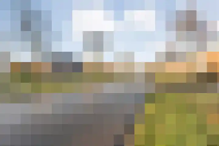 Mien Ruyslaan 20 Dedemsvaart thumbnail 4