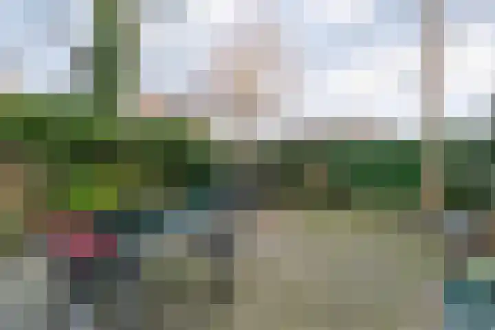 Mien Ruyslaan 20 Dedemsvaart thumbnail 40