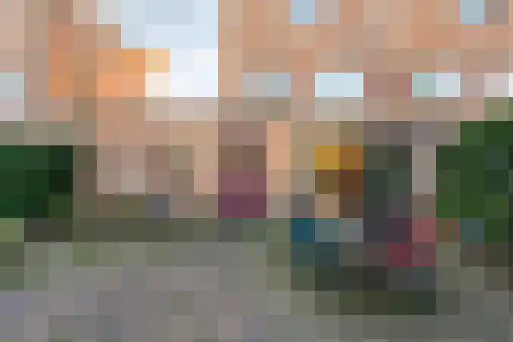 Mien Ruyslaan 20 Dedemsvaart thumbnail 41
