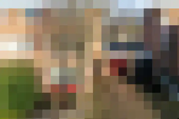 Mien Ruyslaan 20 Dedemsvaart thumbnail 43
