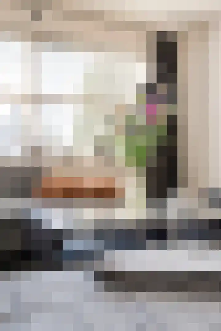 Mien Ruyslaan 20 Dedemsvaart thumbnail 47