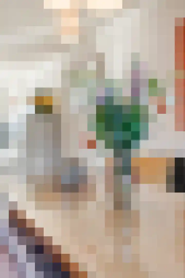 Mien Ruyslaan 20 Dedemsvaart thumbnail 48