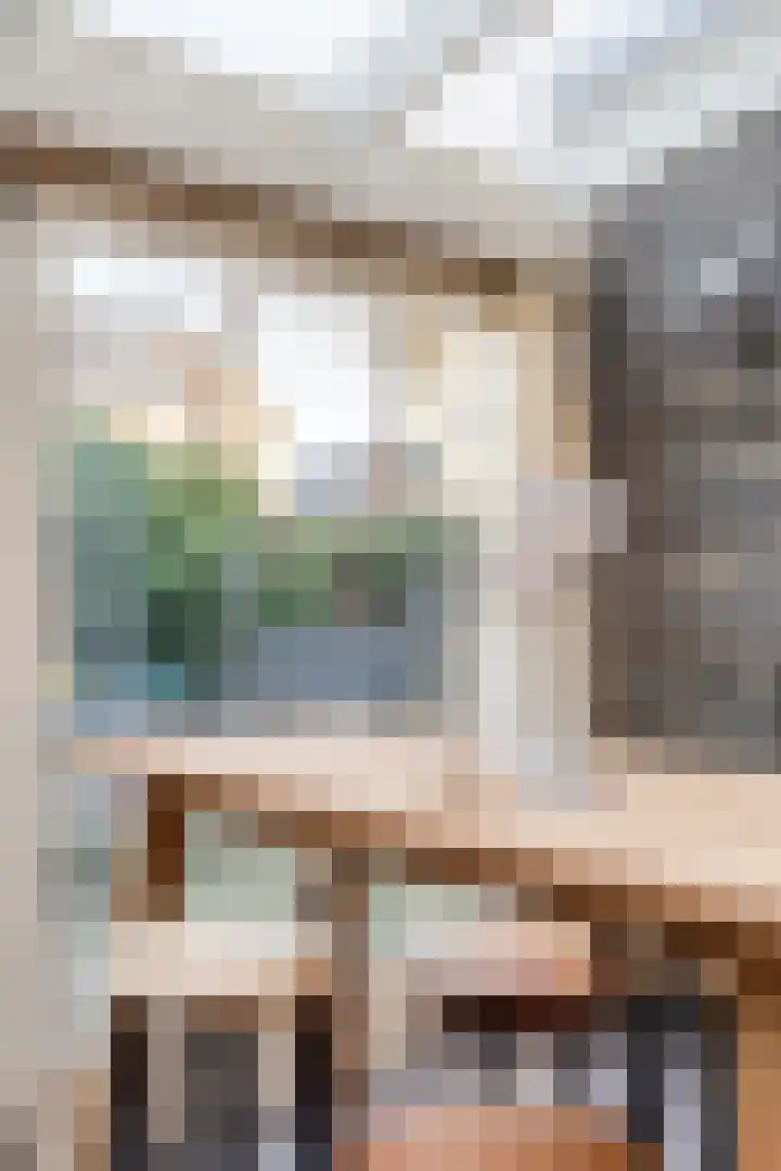 Mien Ruyslaan 20 Dedemsvaart thumbnail 49
