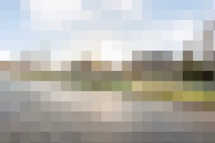 Mien Ruyslaan 20 Dedemsvaart thumbnail 5