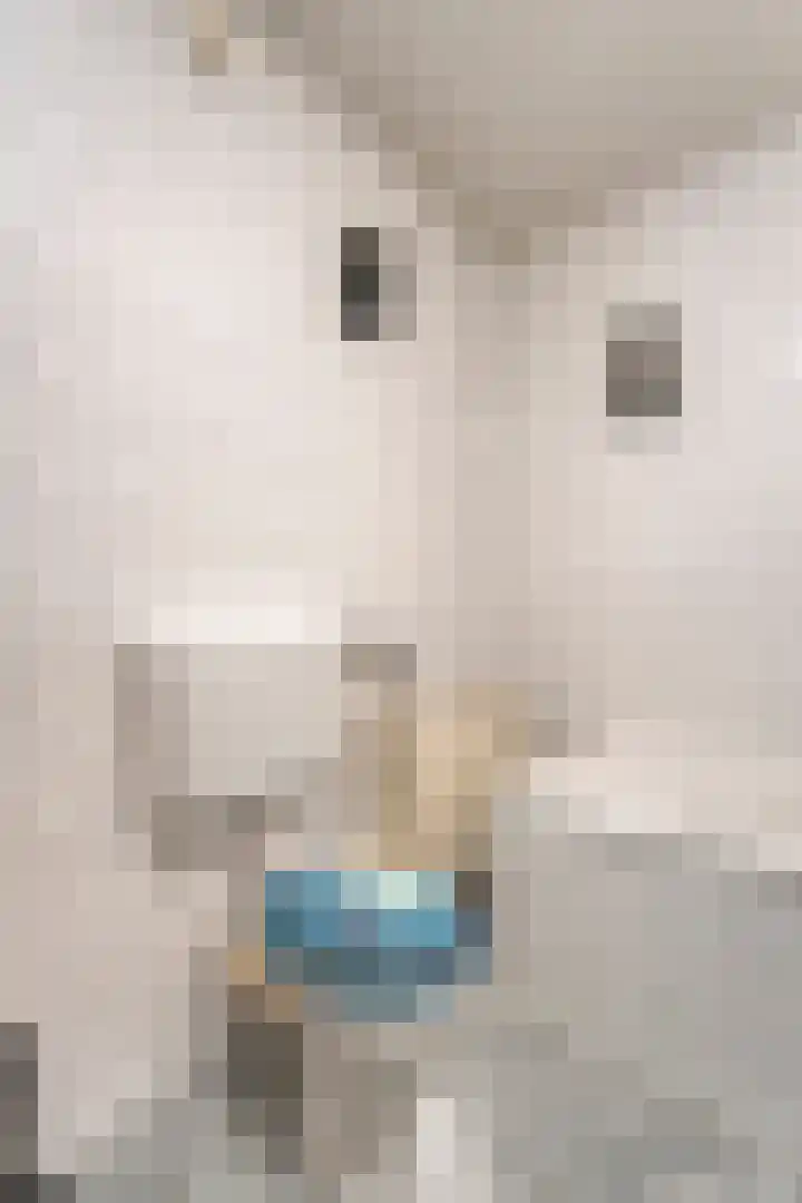 Mien Ruyslaan 20 Dedemsvaart thumbnail 54