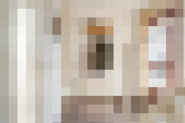 Mien Ruyslaan 20 Dedemsvaart thumbnail 6