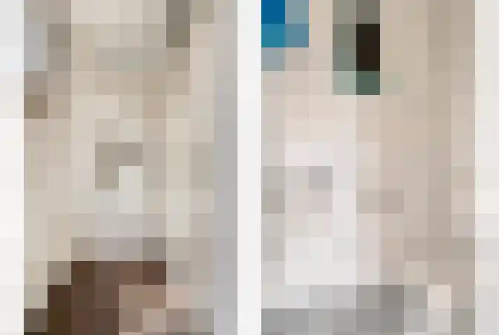 Mien Ruyslaan 20 Dedemsvaart thumbnail 7