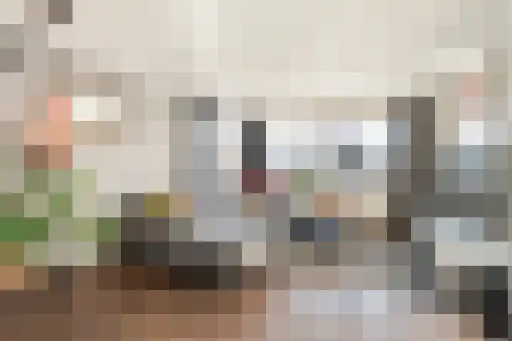 Mien Ruyslaan 20 Dedemsvaart thumbnail 8