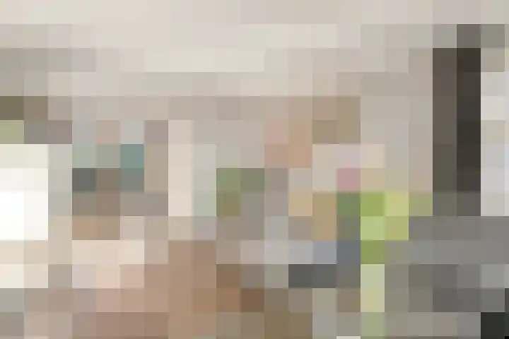 Mien Ruyslaan 20 Dedemsvaart thumbnail 9