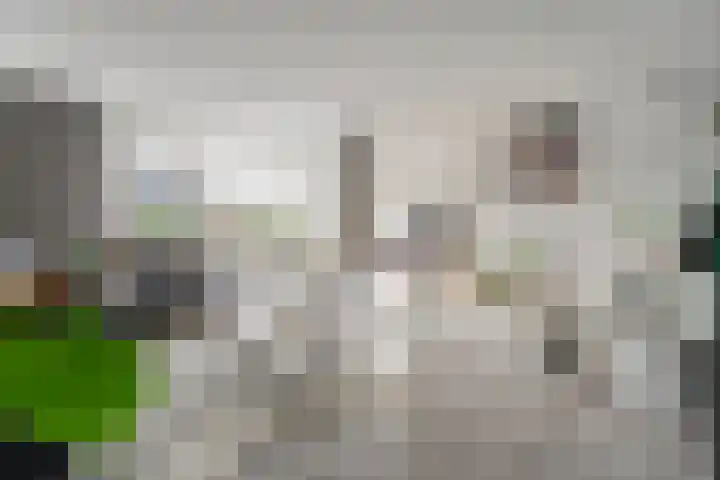 Mien Ruyslaan 46 Dedemsvaart thumbnail 11