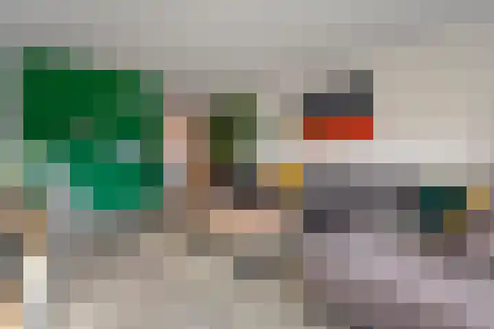 Mien Ruyslaan 46 Dedemsvaart thumbnail 14