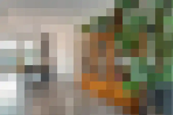 Mien Ruyslaan 46 Dedemsvaart thumbnail 15