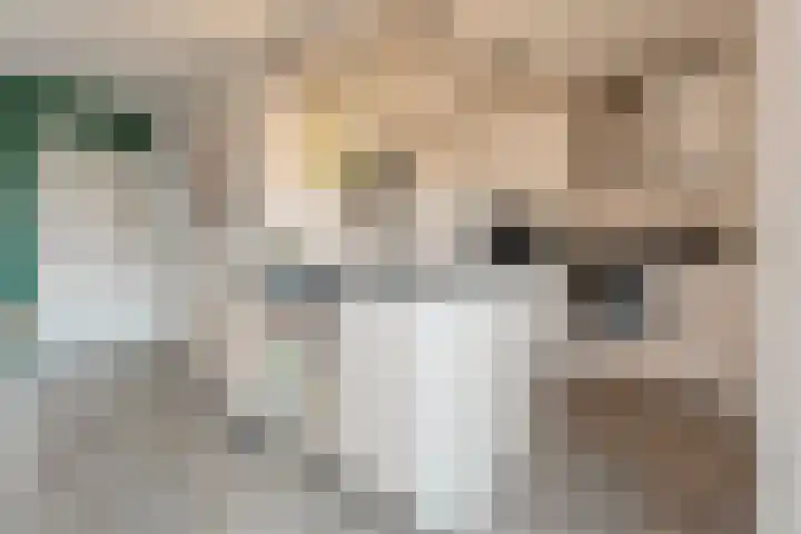 Mien Ruyslaan 46 Dedemsvaart thumbnail 18