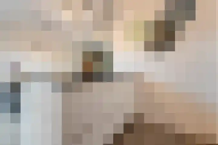 Mien Ruyslaan 46 Dedemsvaart thumbnail 19
