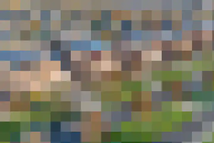 Mien Ruyslaan 46 Dedemsvaart foto 2