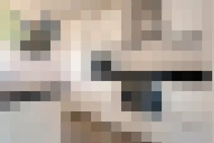 Mien Ruyslaan 46 Dedemsvaart thumbnail 20