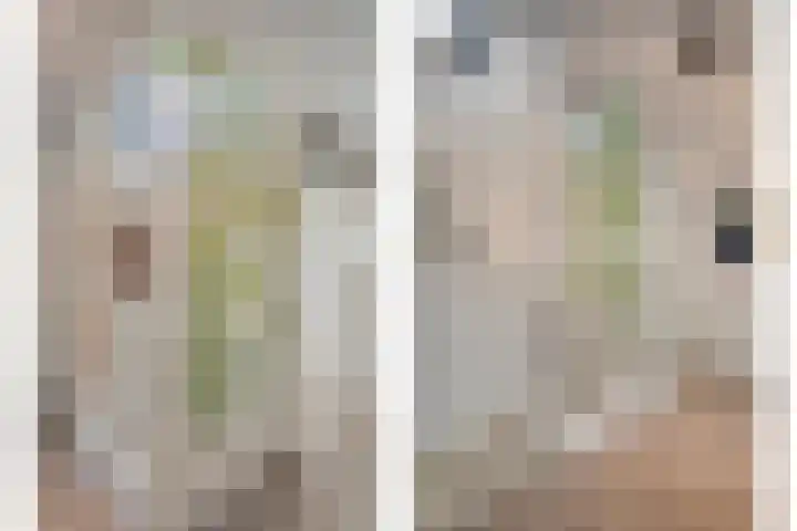 Mien Ruyslaan 46 Dedemsvaart thumbnail 27