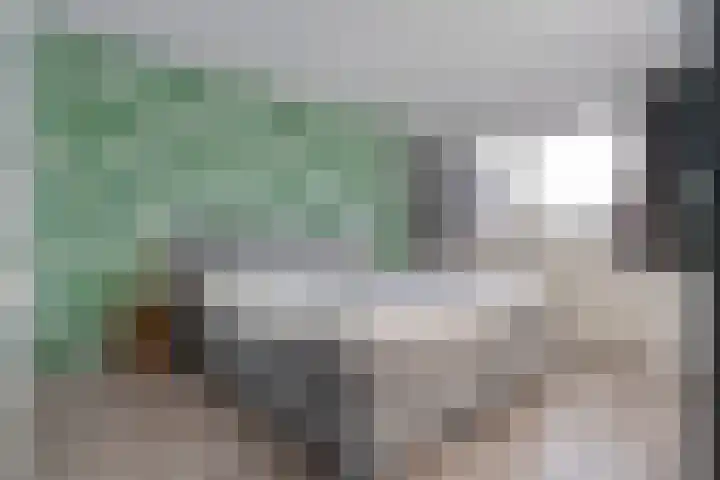 Mien Ruyslaan 46 Dedemsvaart thumbnail 28