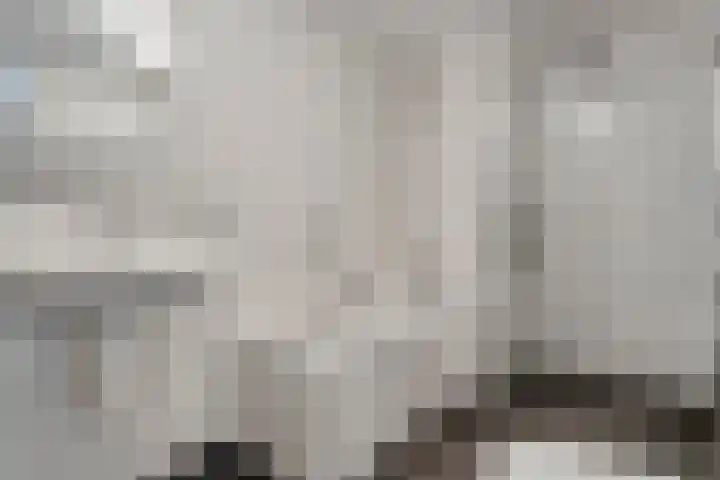 Mien Ruyslaan 46 Dedemsvaart thumbnail 30