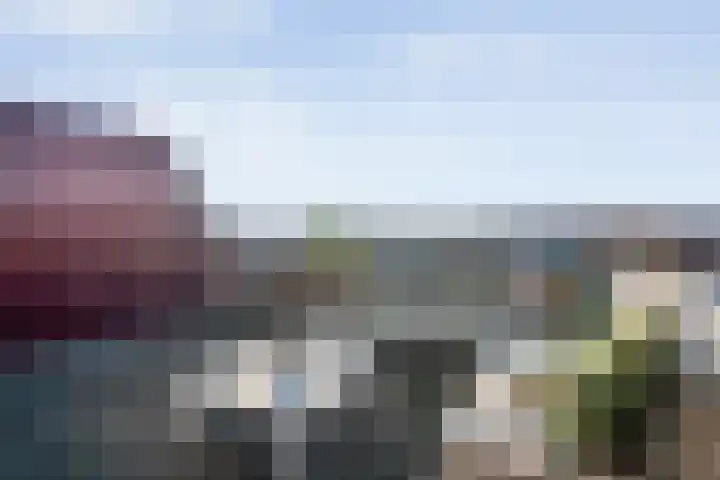 Mien Ruyslaan 46 Dedemsvaart thumbnail 41