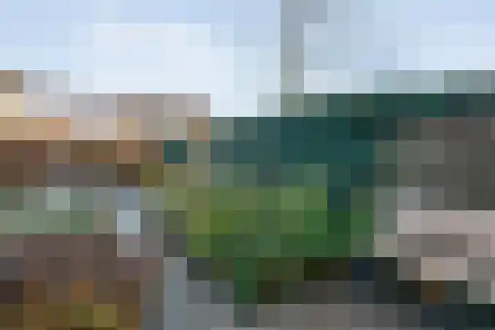 Mien Ruyslaan 46 Dedemsvaart thumbnail 44
