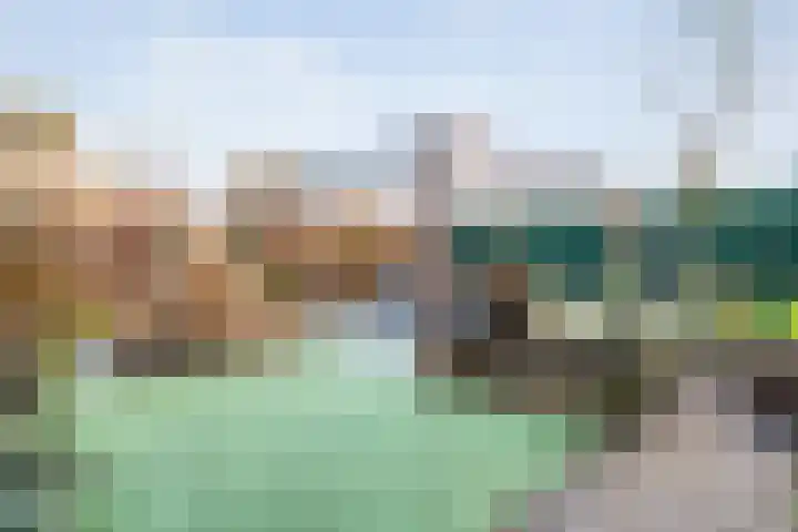 Mien Ruyslaan 46 Dedemsvaart thumbnail 46