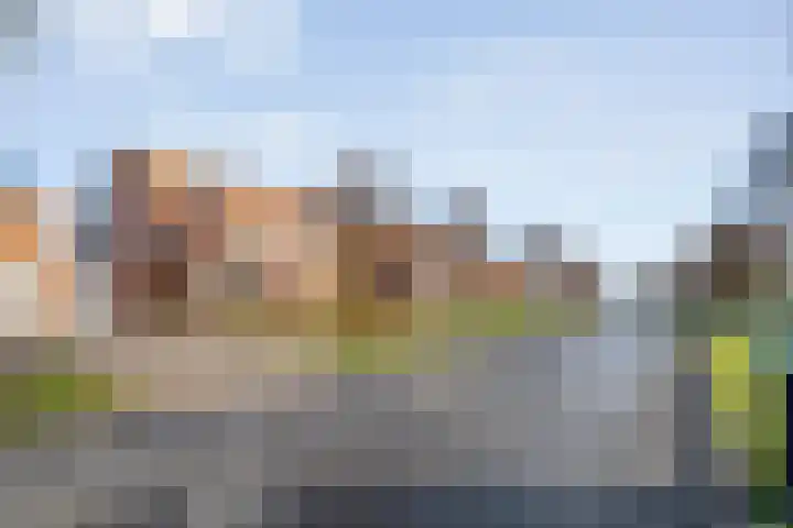 Mien Ruyslaan 46 Dedemsvaart thumbnail 51