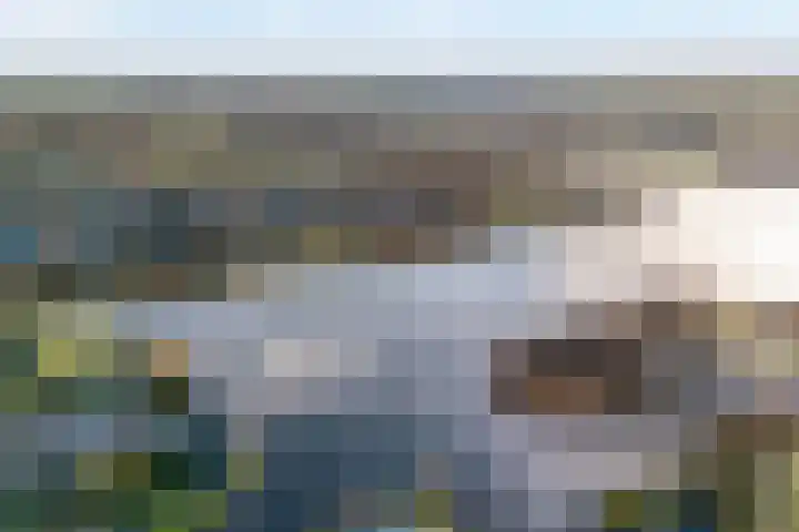 Mien Ruyslaan 46 Dedemsvaart thumbnail 53